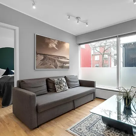 Baron Downtown Apartments Reykjavík Eksteriør billede