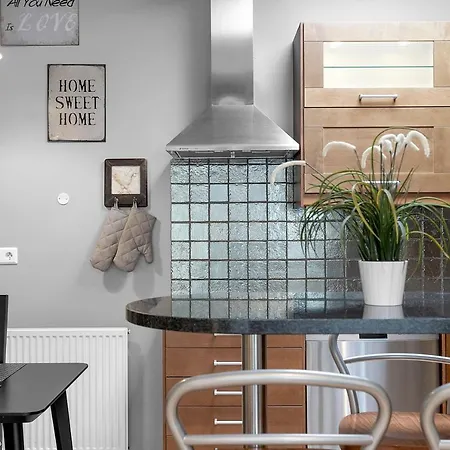 Baron Downtown Apartments Reykjavík Eksteriør billede