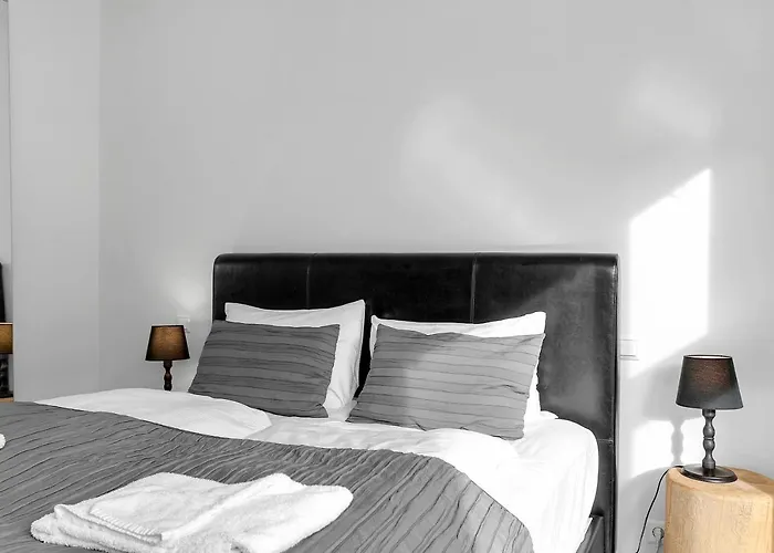 Baron Downtown Apartments