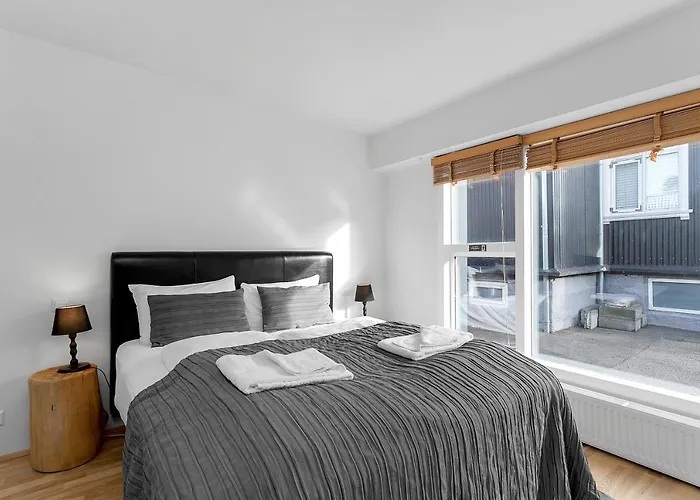 Baron Downtown Apartments